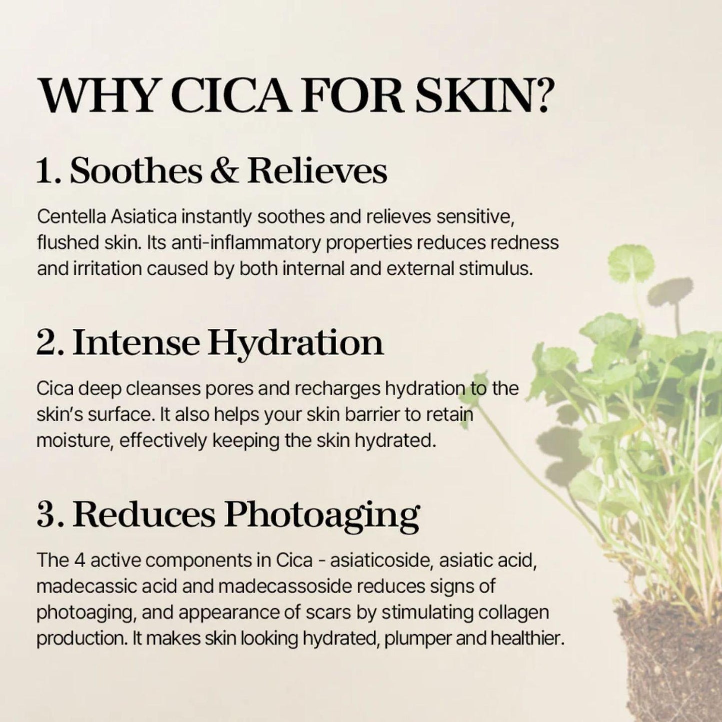 mixsoon Soondy Centella Asiatica Essence 100ml - K-ESSENCE Canada; Korean Cosmetics Canada