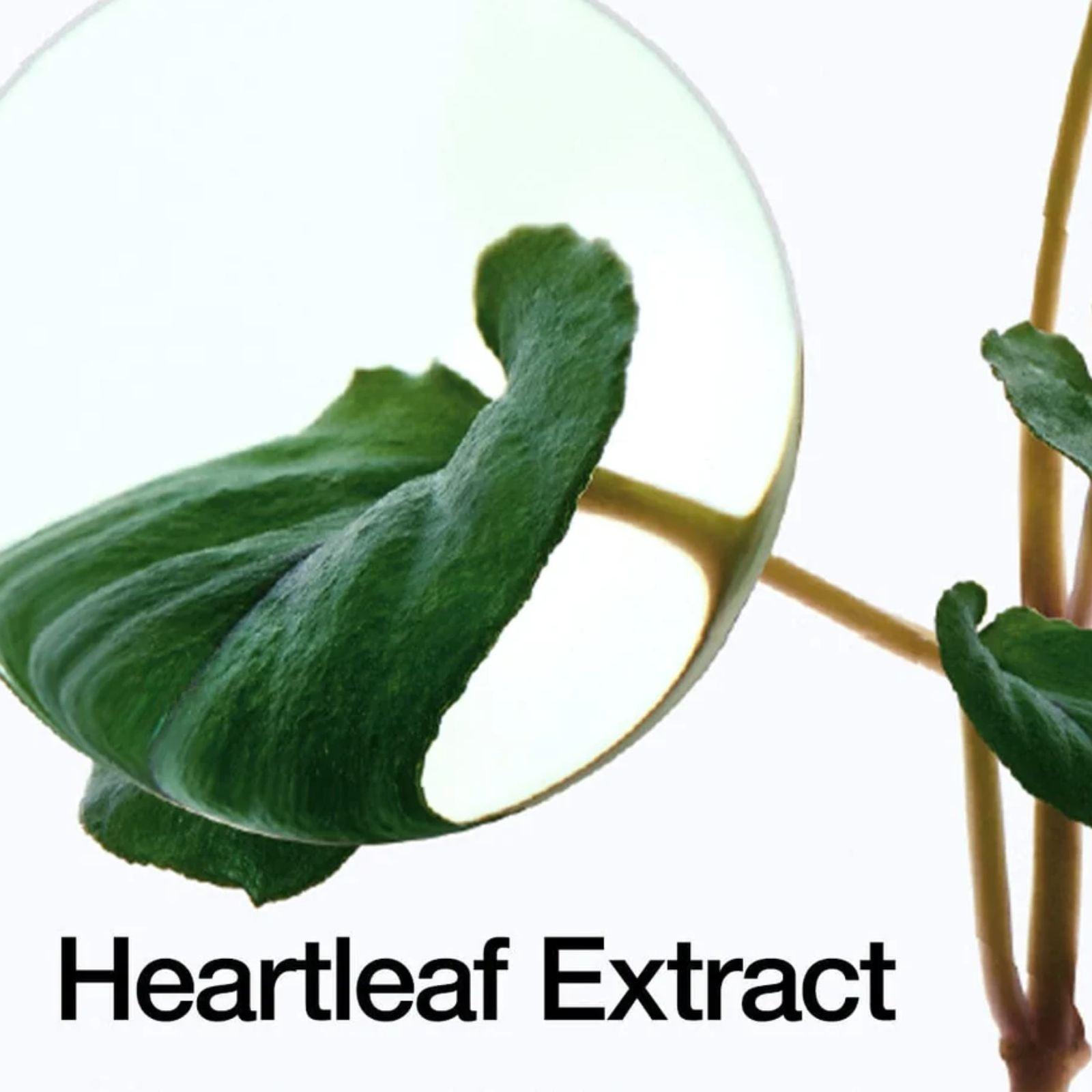 Anua Heartleaf Pore Control Cleansing Oil 200ml - K-ESSENCE Canada; Korean Cosmetics Canada