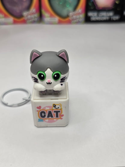 Adorable Cat Sound & Light Clicker Keychain - Interactive Fidget Toy