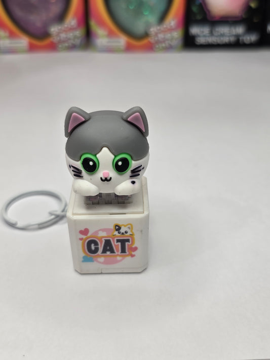 Adorable Cat Sound & Light Clicker Keychain - Interactive Fidget Toy